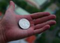 Kryptomeny: Budúcnosť peňazí alebo len bublina?