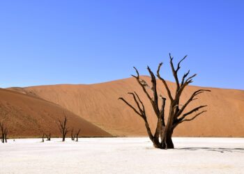 Cestovanie po Afrike